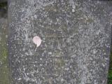 image of grave number 141691